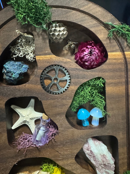 Curio display