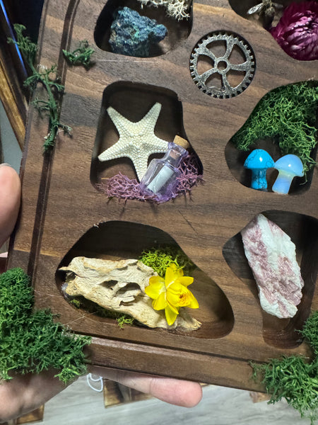 Curio display