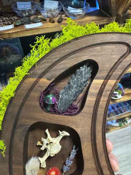 Moon shaped Curio display