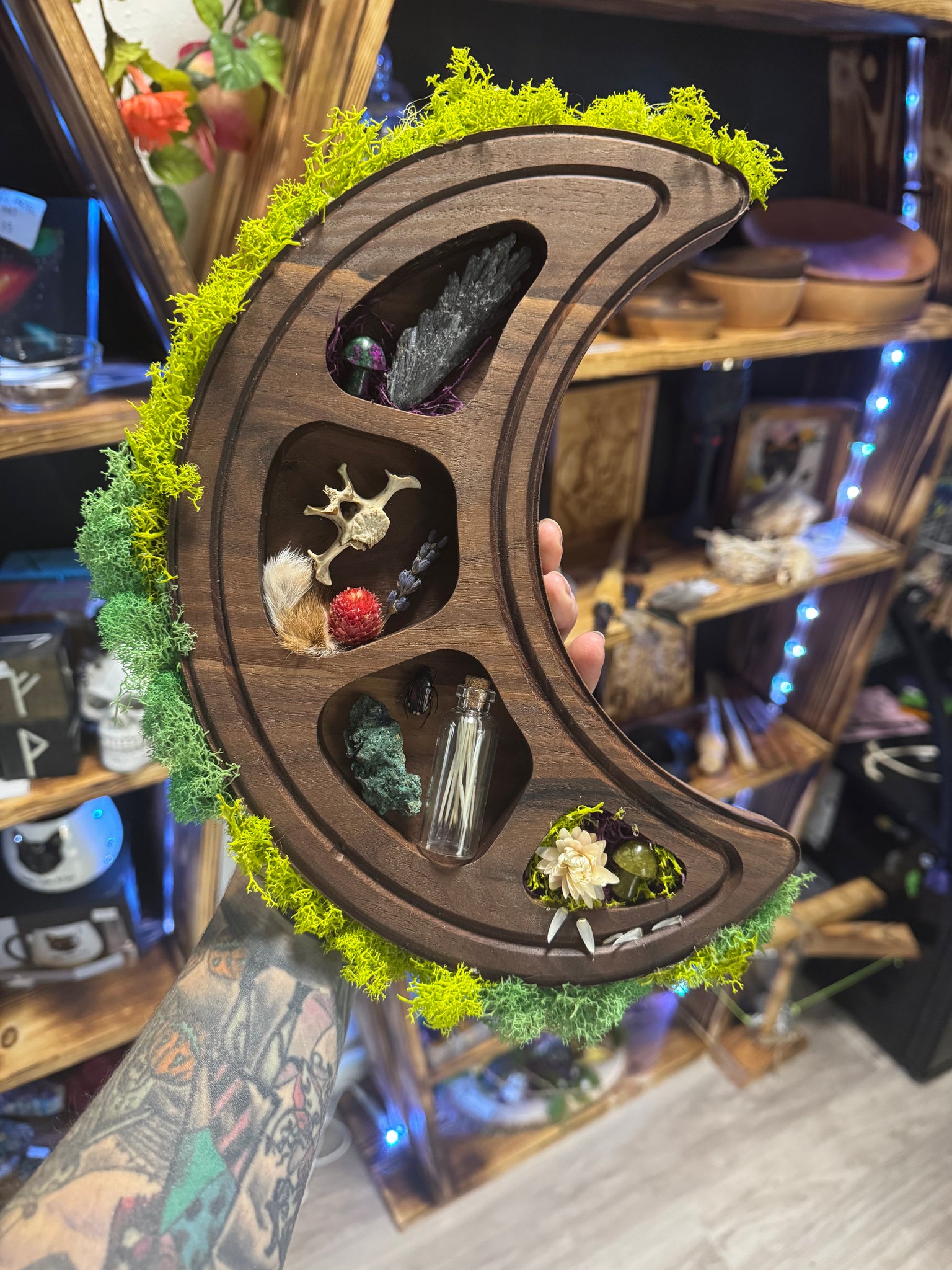 Moon shaped Curio display