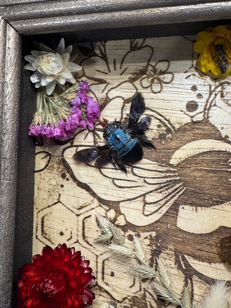 Framed Garden