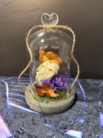 Cat skull terrarium