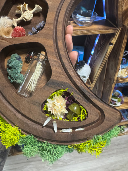 Moon shaped Curio display