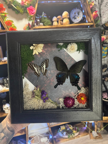 Butterfly Garden