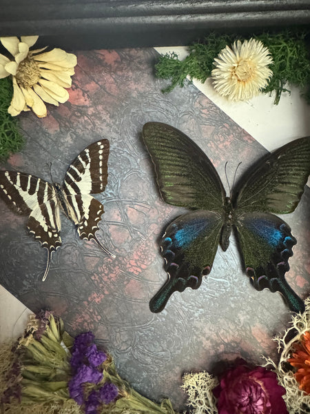 Butterfly Garden