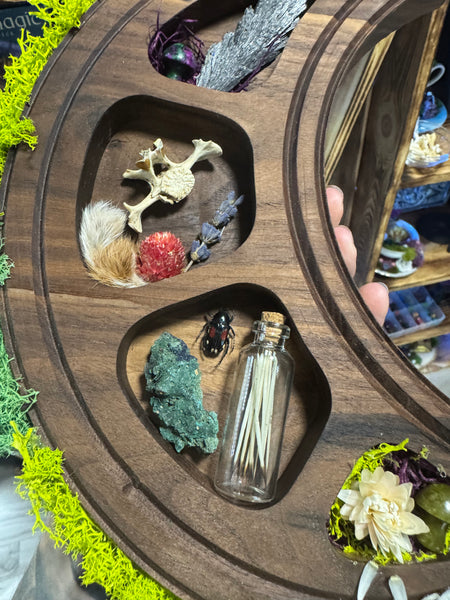 Moon shaped Curio display