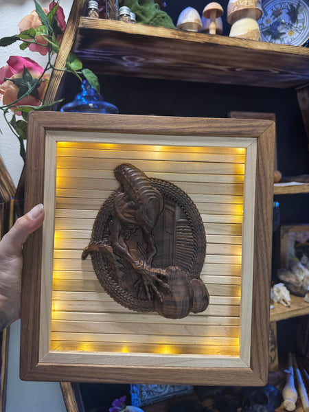 Alien framed light up art
