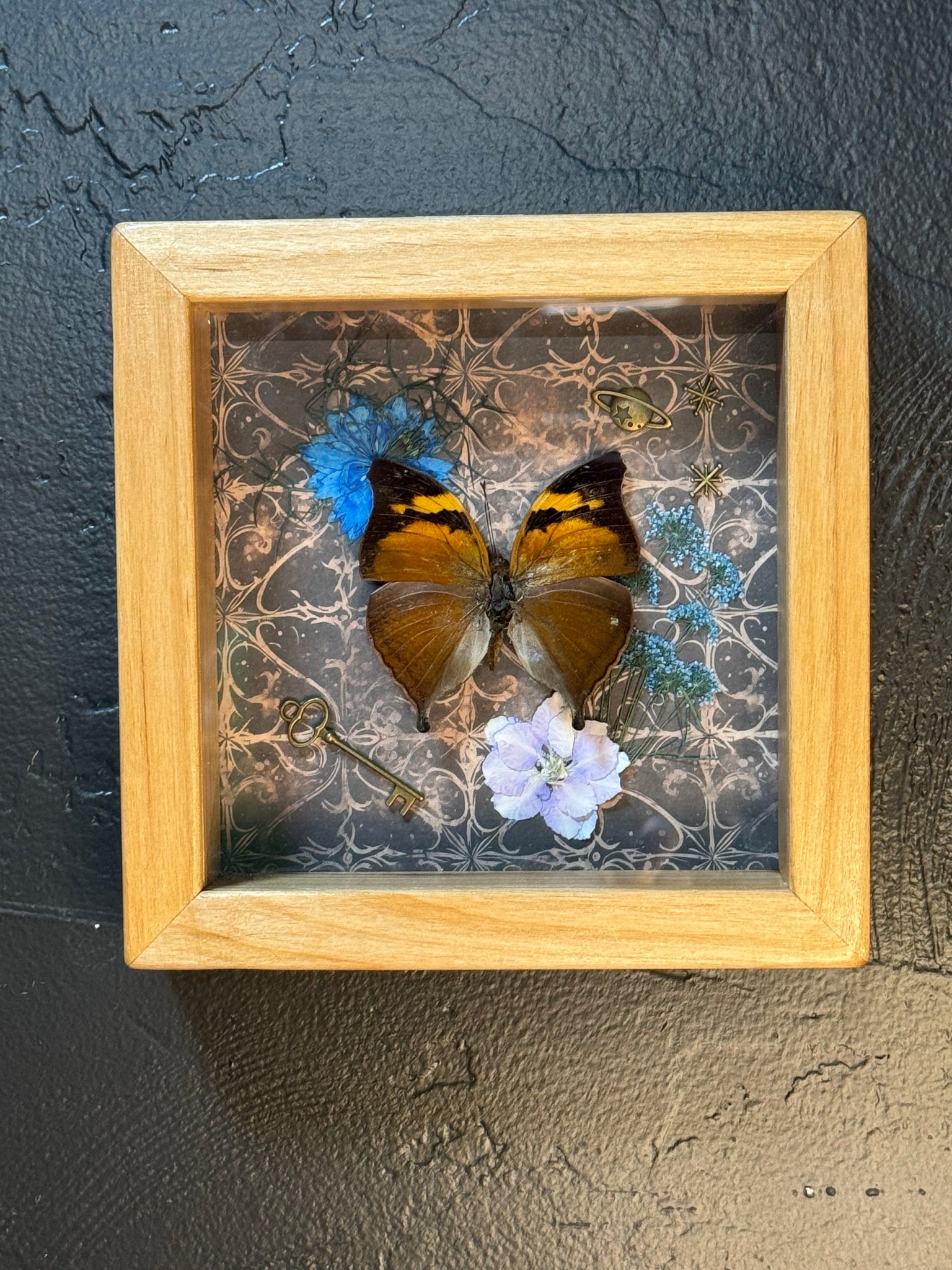 Butterfly shadow box-6