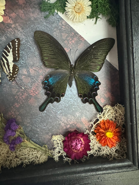 Butterfly Garden