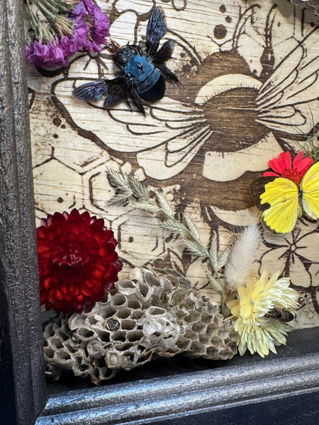 Framed Garden