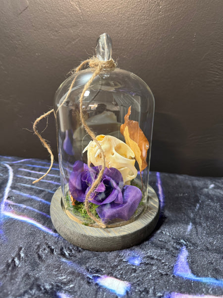 Cat skull terrarium