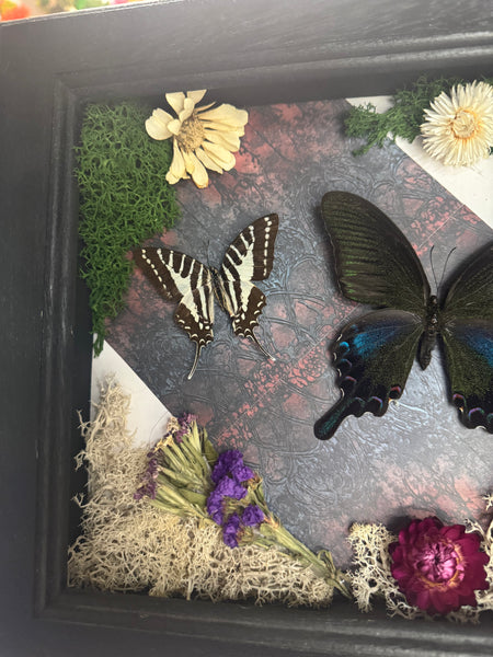Butterfly Garden