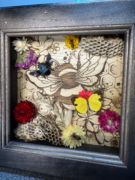 Framed Garden