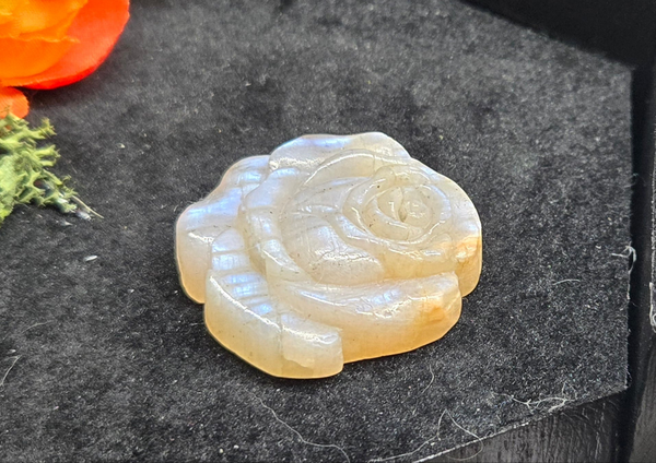 Moonstone Rose