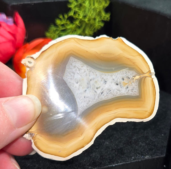 Rainbow Iris agate