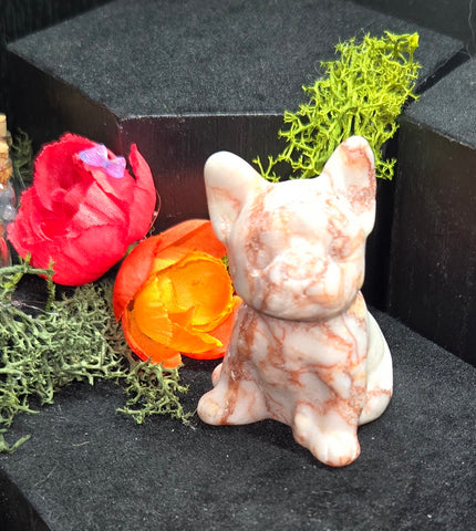 Red vein Jasper dog