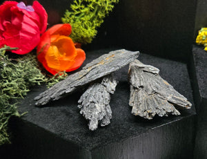 Black Kyanite