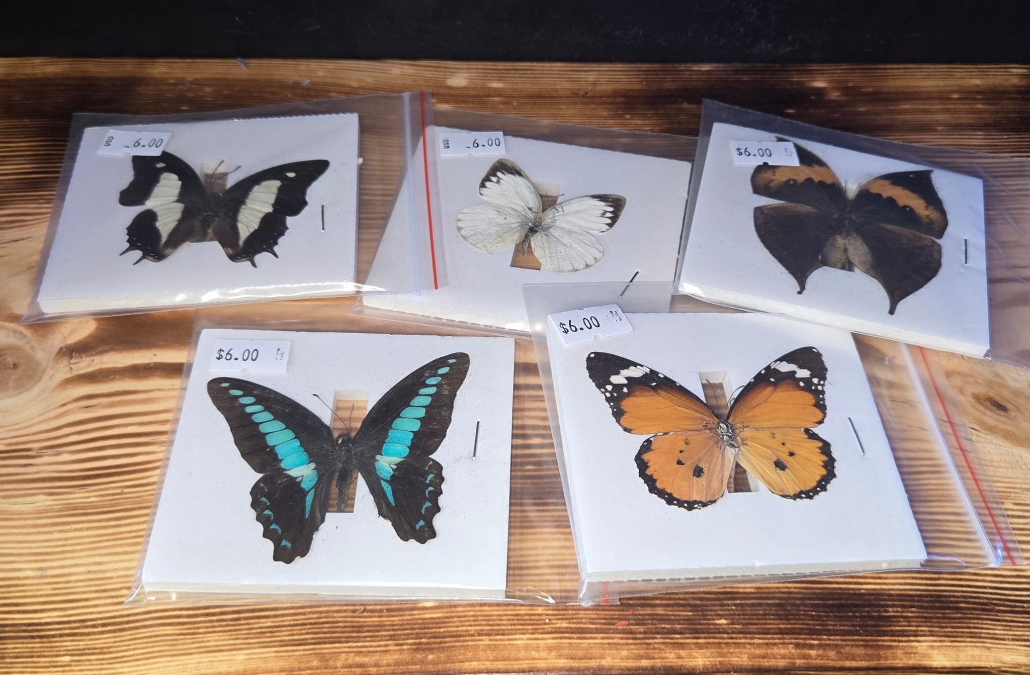 Small butterflies
