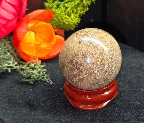 Dinosaur Bone Sphere