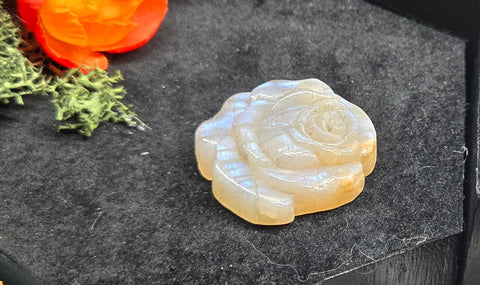 Moonstone Rose