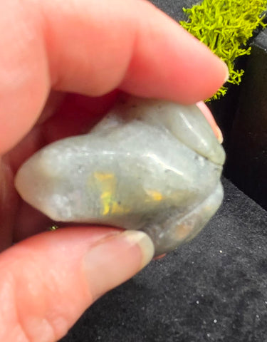 Labradorite frog