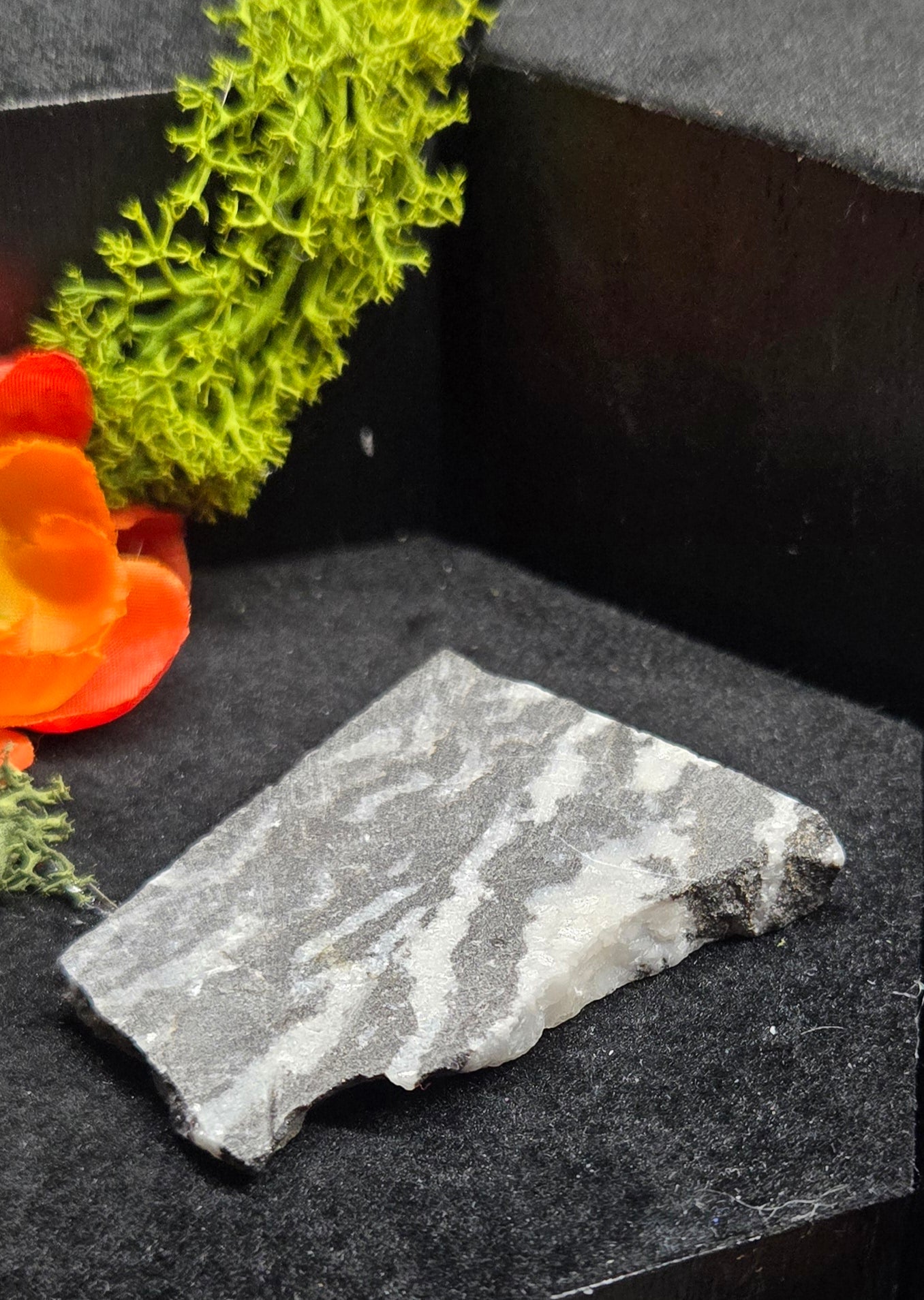 Zebra Stone