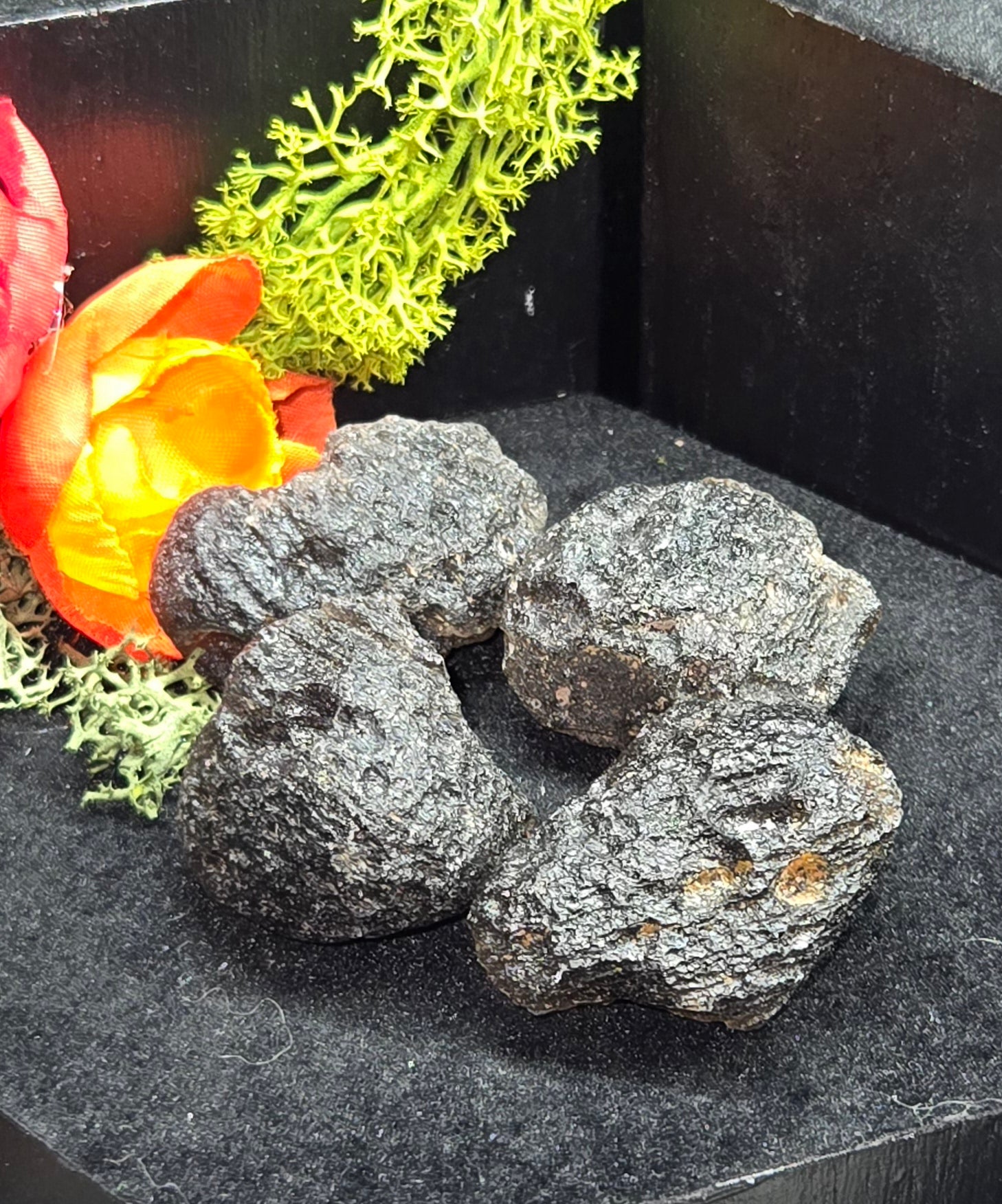 Agni Manatite "pearl of divine fire"