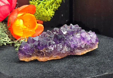 Amethyst Cluster