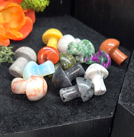 Mushroom crystals