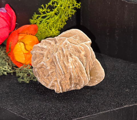 Desert Rose