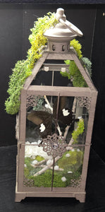 Large black butterfly lantern